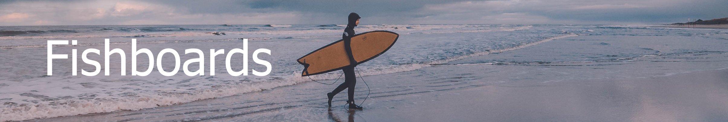 Fish surfboard buy online europe surfshop header