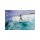 Surfboard TORQ Epoxy TET 6.6 MOD Fish Pinlines weiß