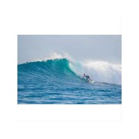 Surfboard TORQ Epoxy TET 8.0 Longboard Pinlines wei&szlig;